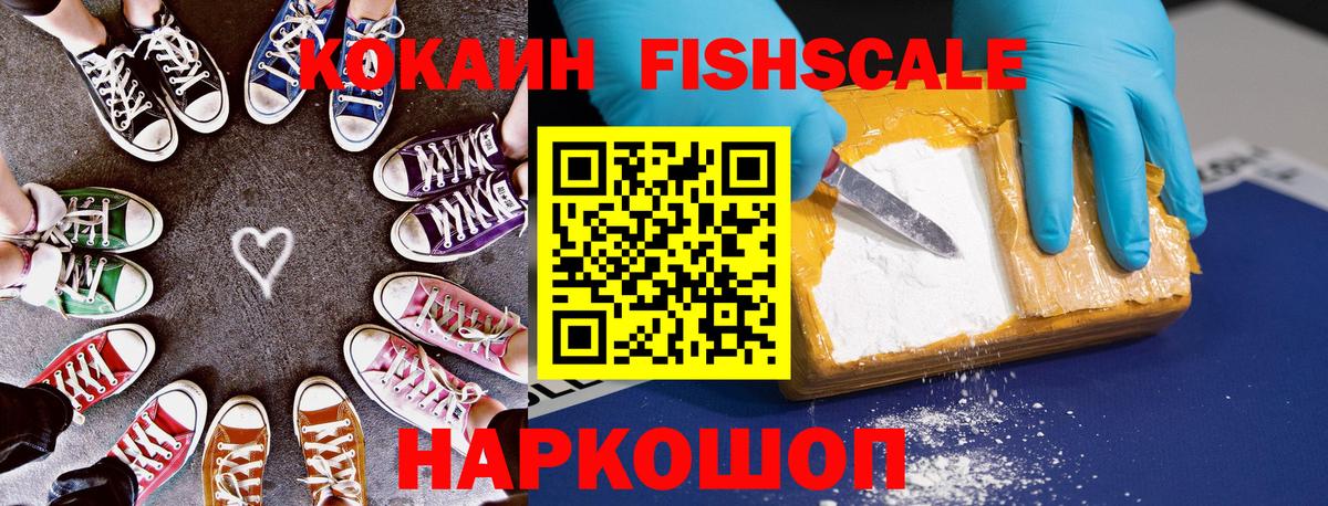 Касимов  Cocaine  Вход с VPN  Cocaine Fish Scale 