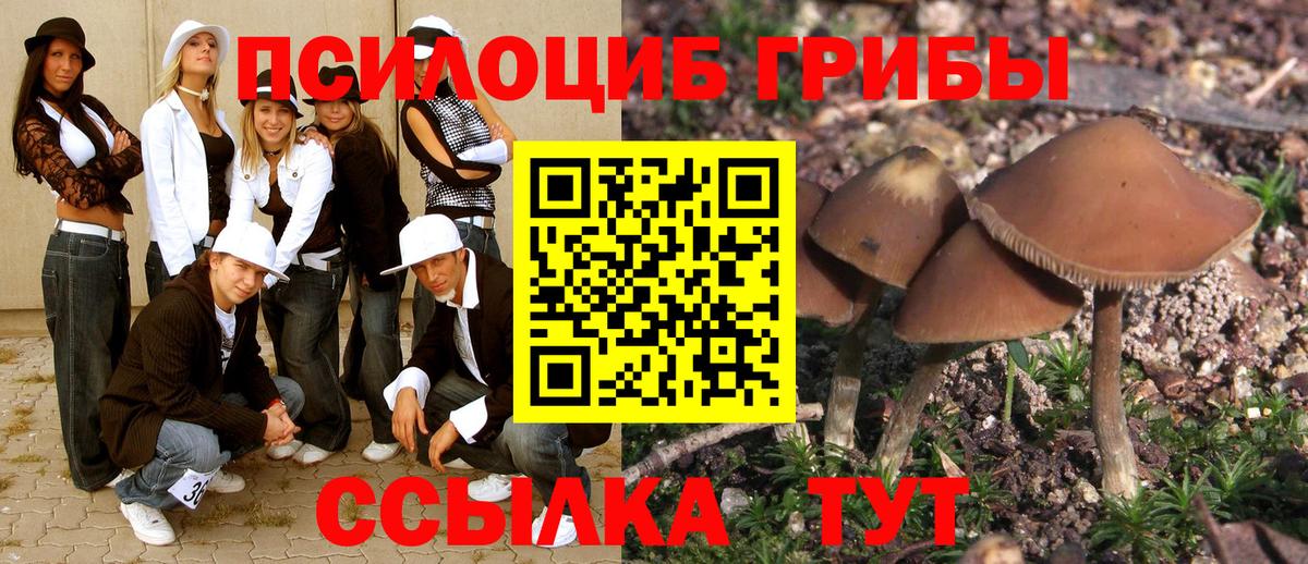 Касимов  Галлюциногенные грибы Psilocybe  продажа наркотиков  Галлюциногенные грибы MAGIC MUSHROOMS  Вход с VPN 