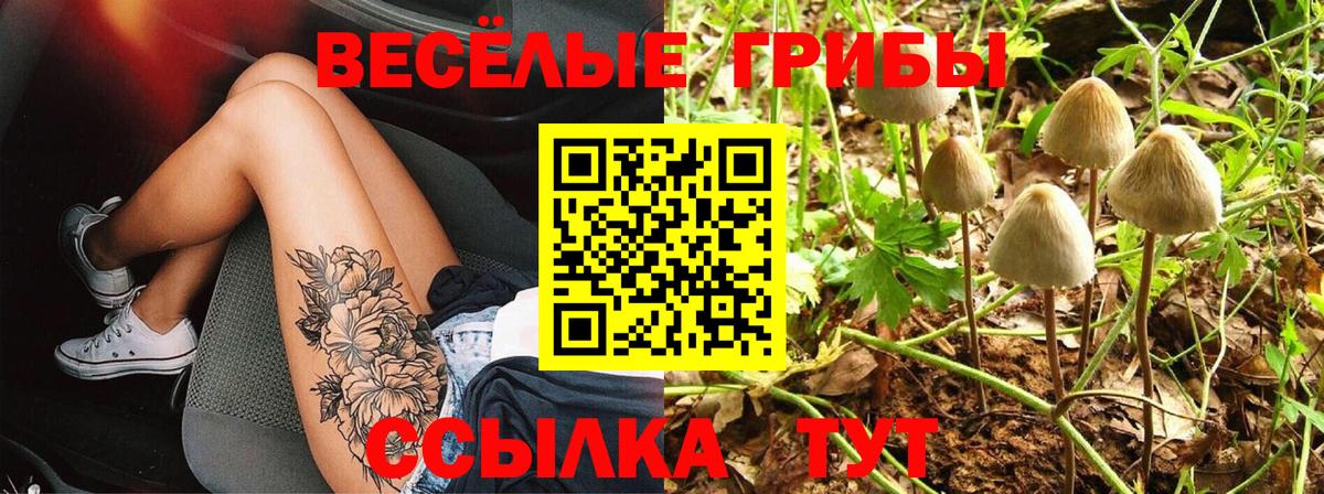 Псилоцибиновые грибы GOLDEN TEACHER Касимов